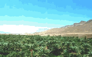TREK iN MOROCCO: DRAA VALLEY