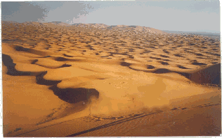 HIKE: CHIGAGA DUNES