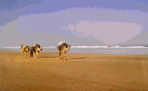 HIKE IN MOROCCO: Atlantic coast