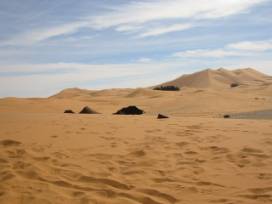 Morocco fossils: ERG CHEBBI