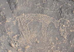 Fossils tour: TAOUZ ROCK DRAWING